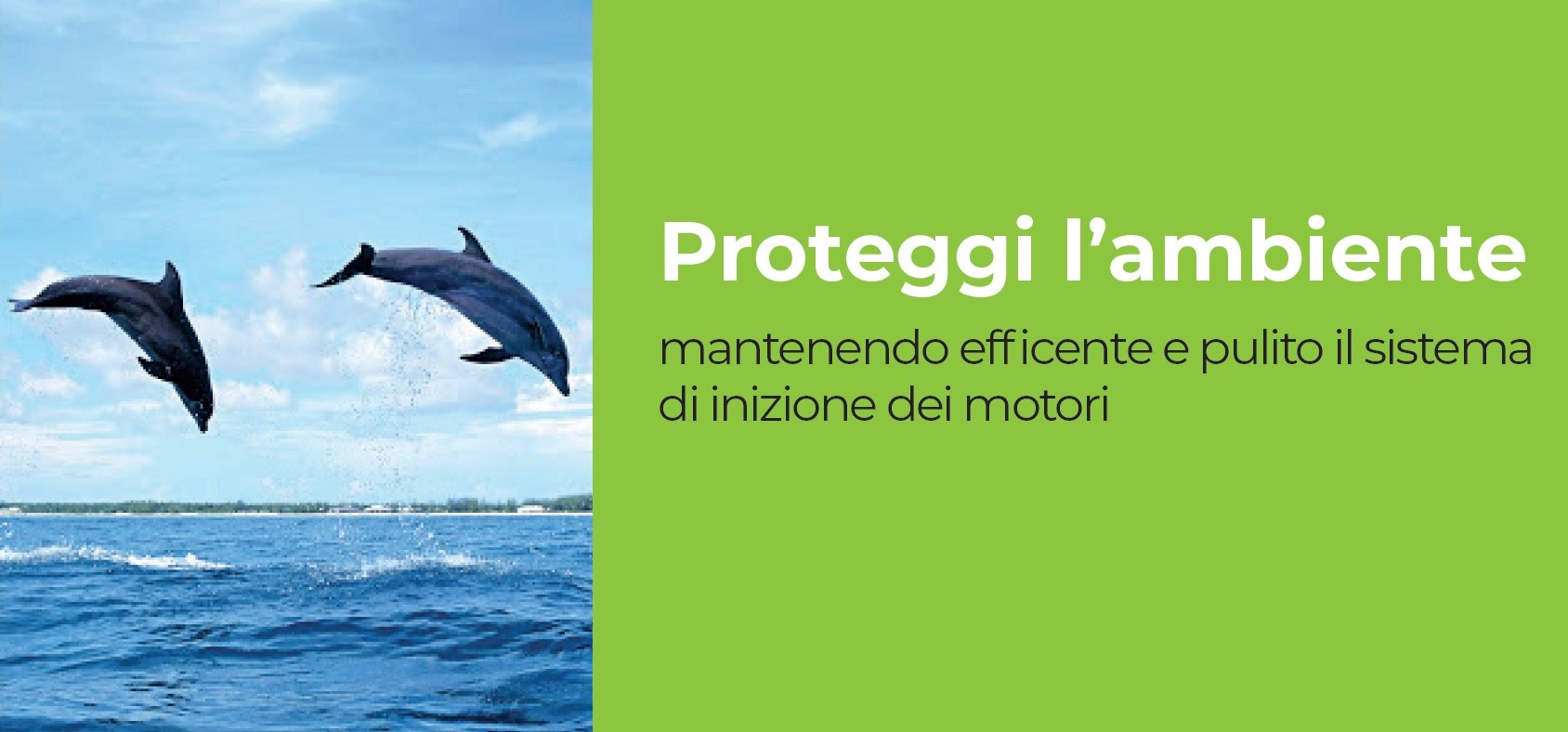 Sistema iniezioni motori a gasolio